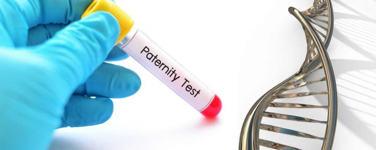 Paternity test results
