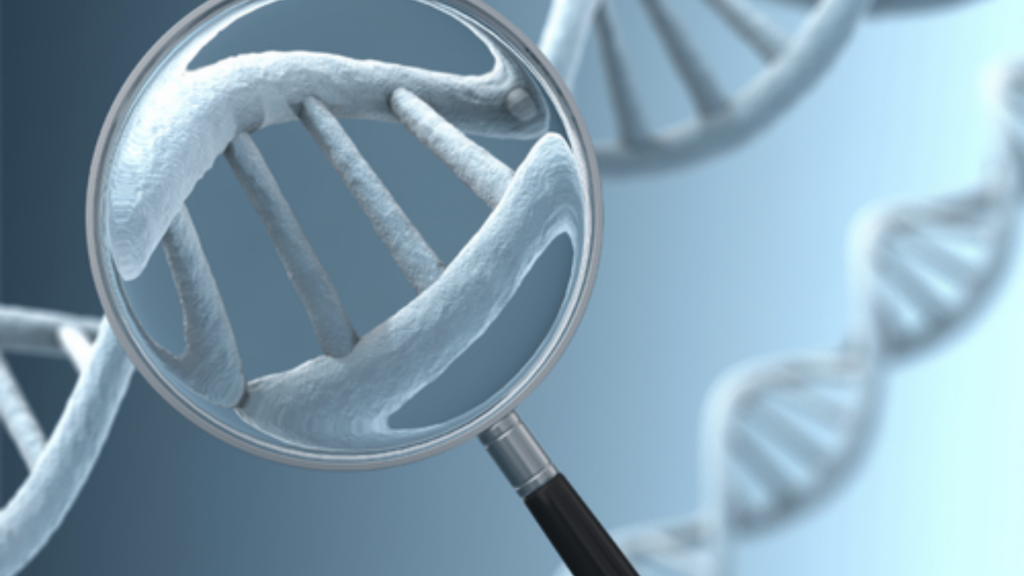 Immigration DNA testing